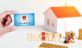 石家庄外卖员最新爆料,揭秘外卖行业背后的真相