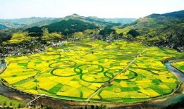 爆料禾丰美景视频在线播放,在线欣赏乡村田园风光