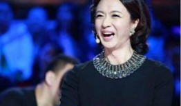 沈楠爆料金星视频大全,金星视频大全背后的惊人真相